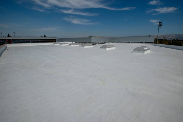 Best Gutter Installation and Repair  in Greenville, MS